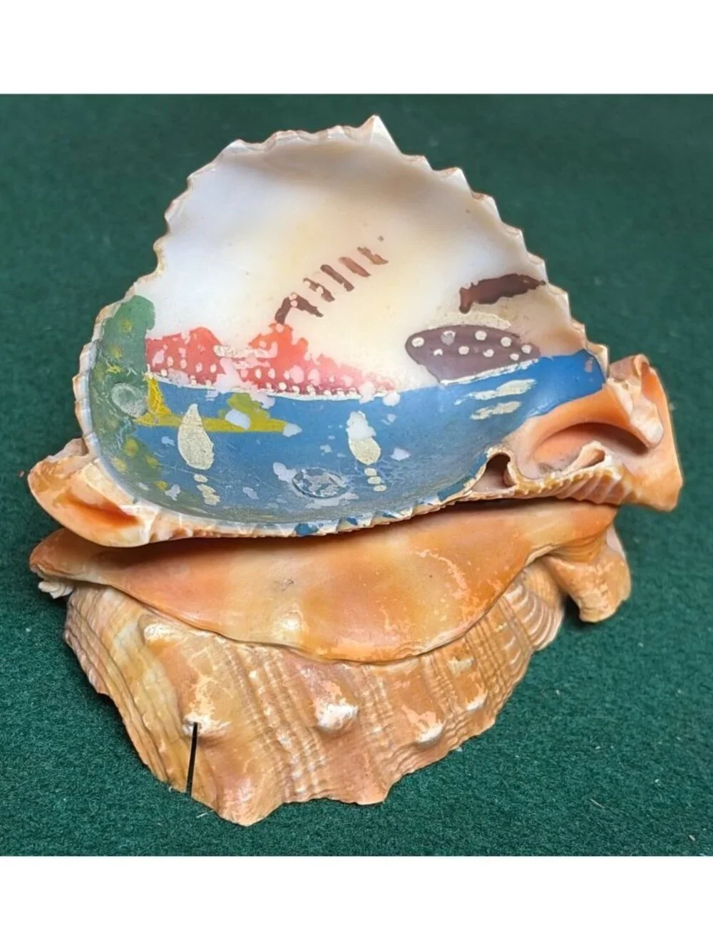 Hand-Painted Vintage Conch Shell Souvenir Coastal Nautical Landscape Scene